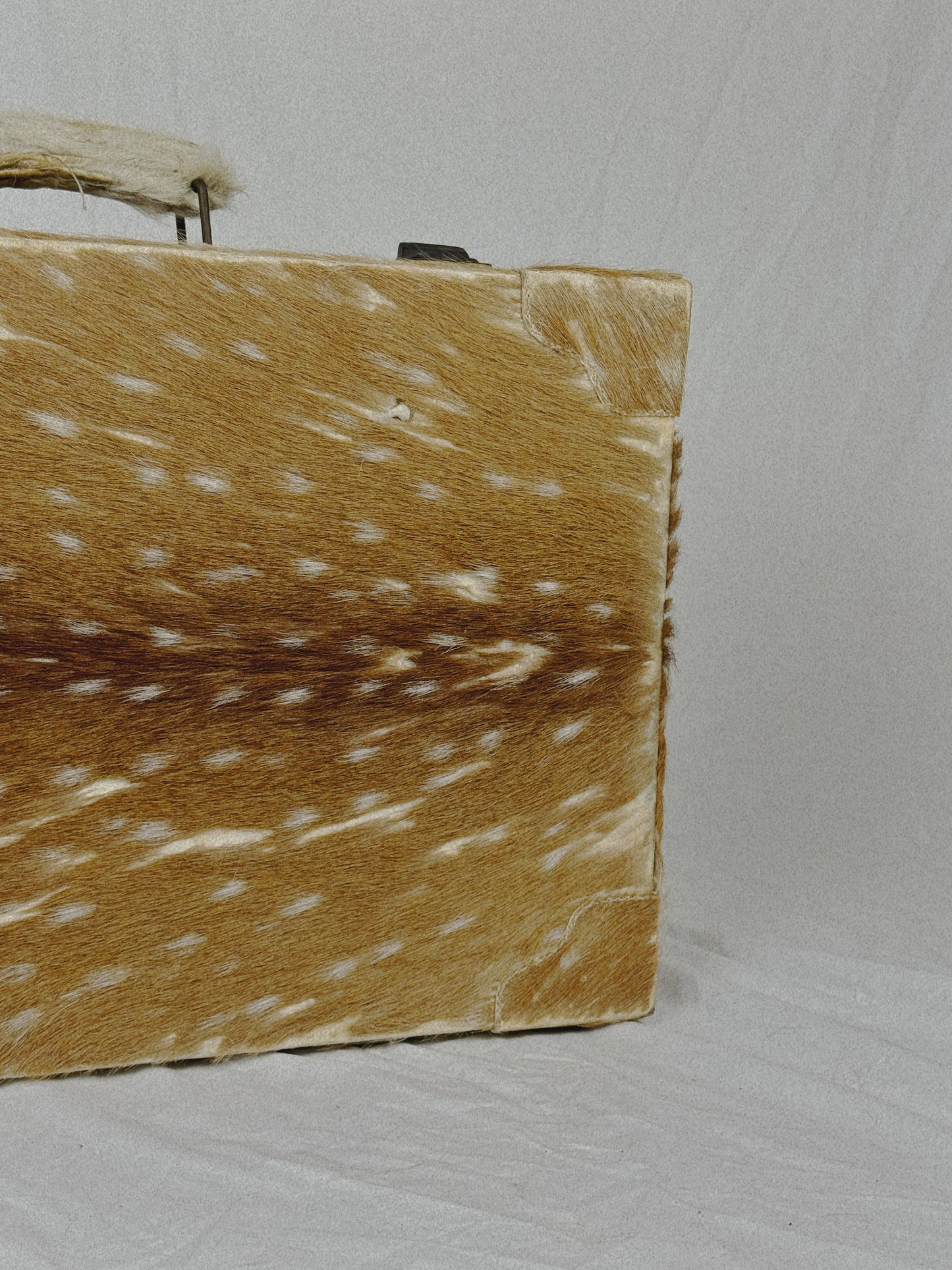 Deer Hide Trunk