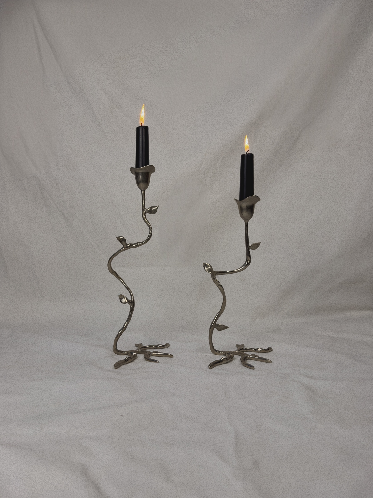 Polished Botanic Candleholders