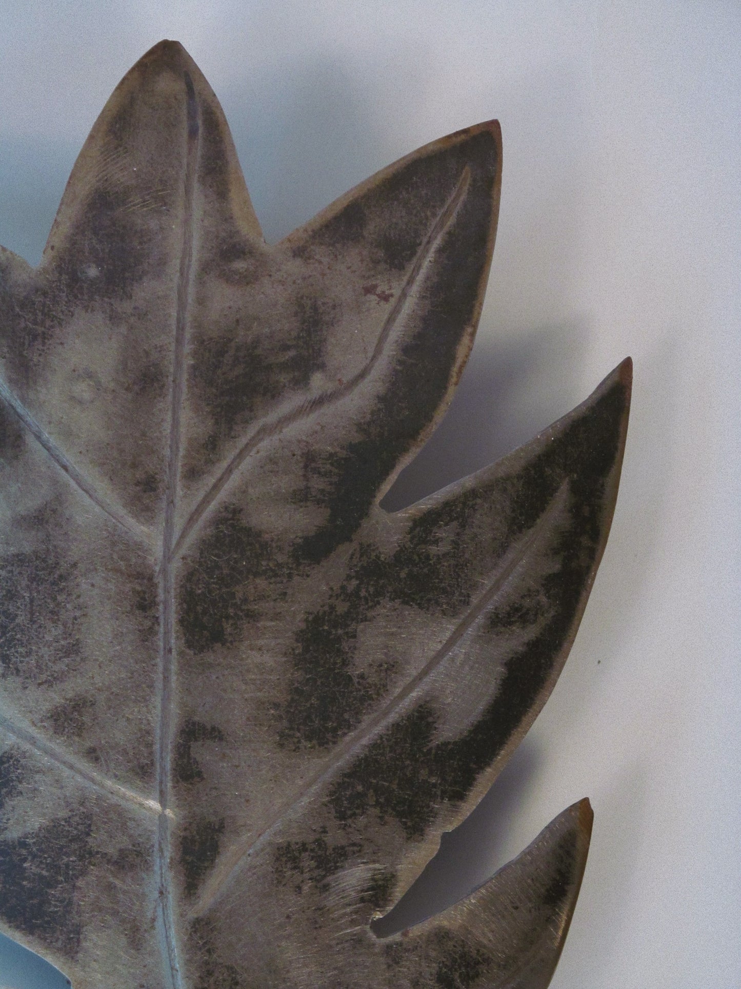 Leaf Formed Wall Sconces