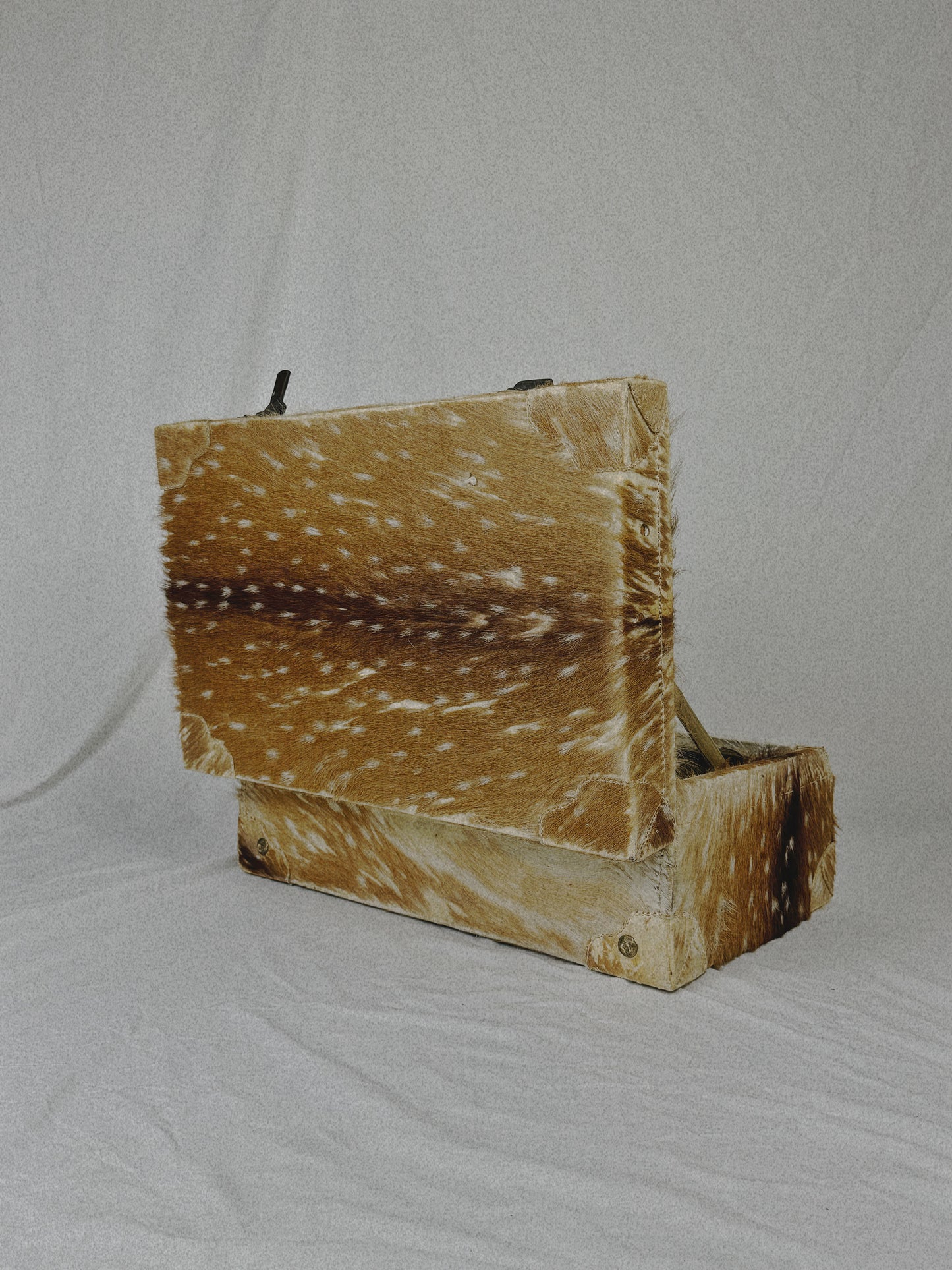Deer Hide Trunk