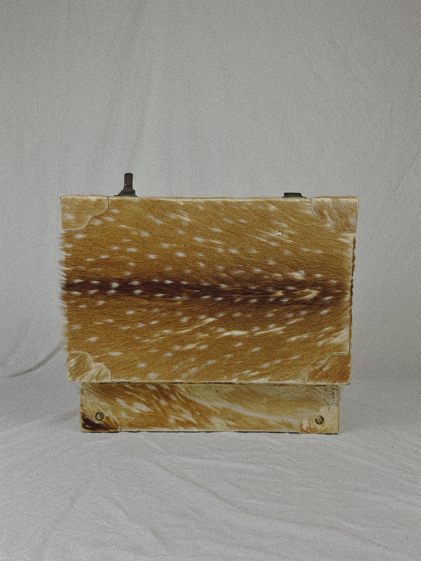 Deer Hide Trunk