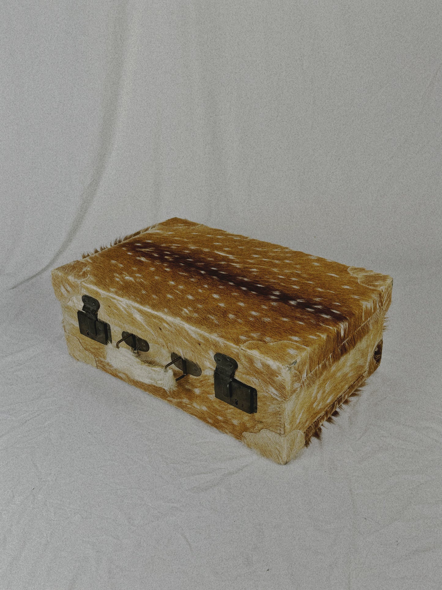 Deer Hide Trunk