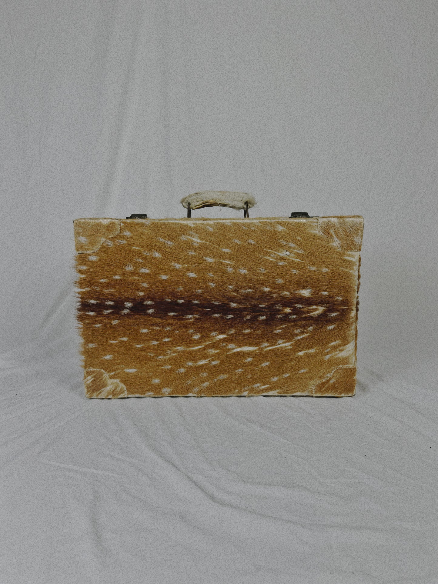 Deer Hide Trunk