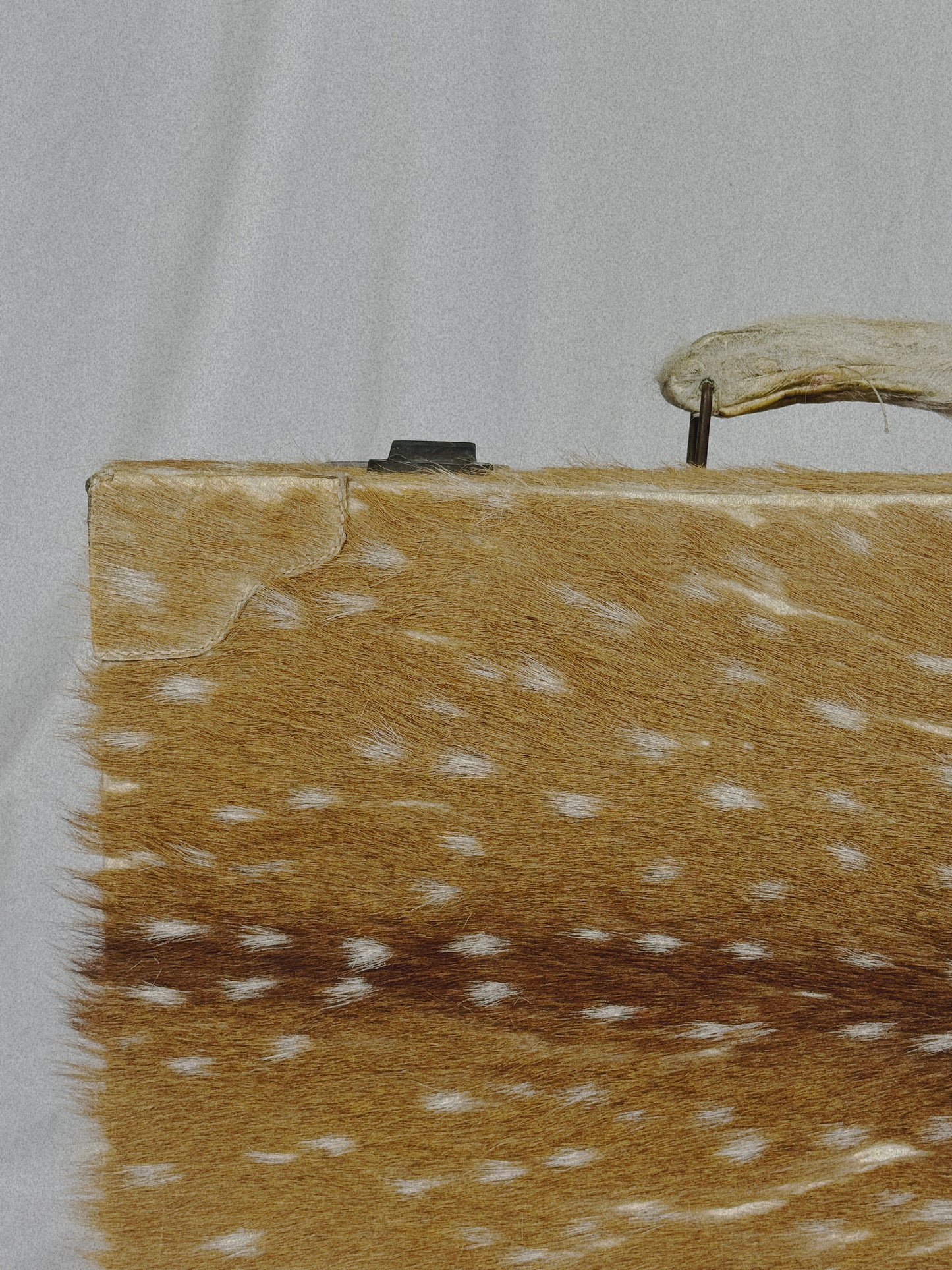 Deer Hide Trunk