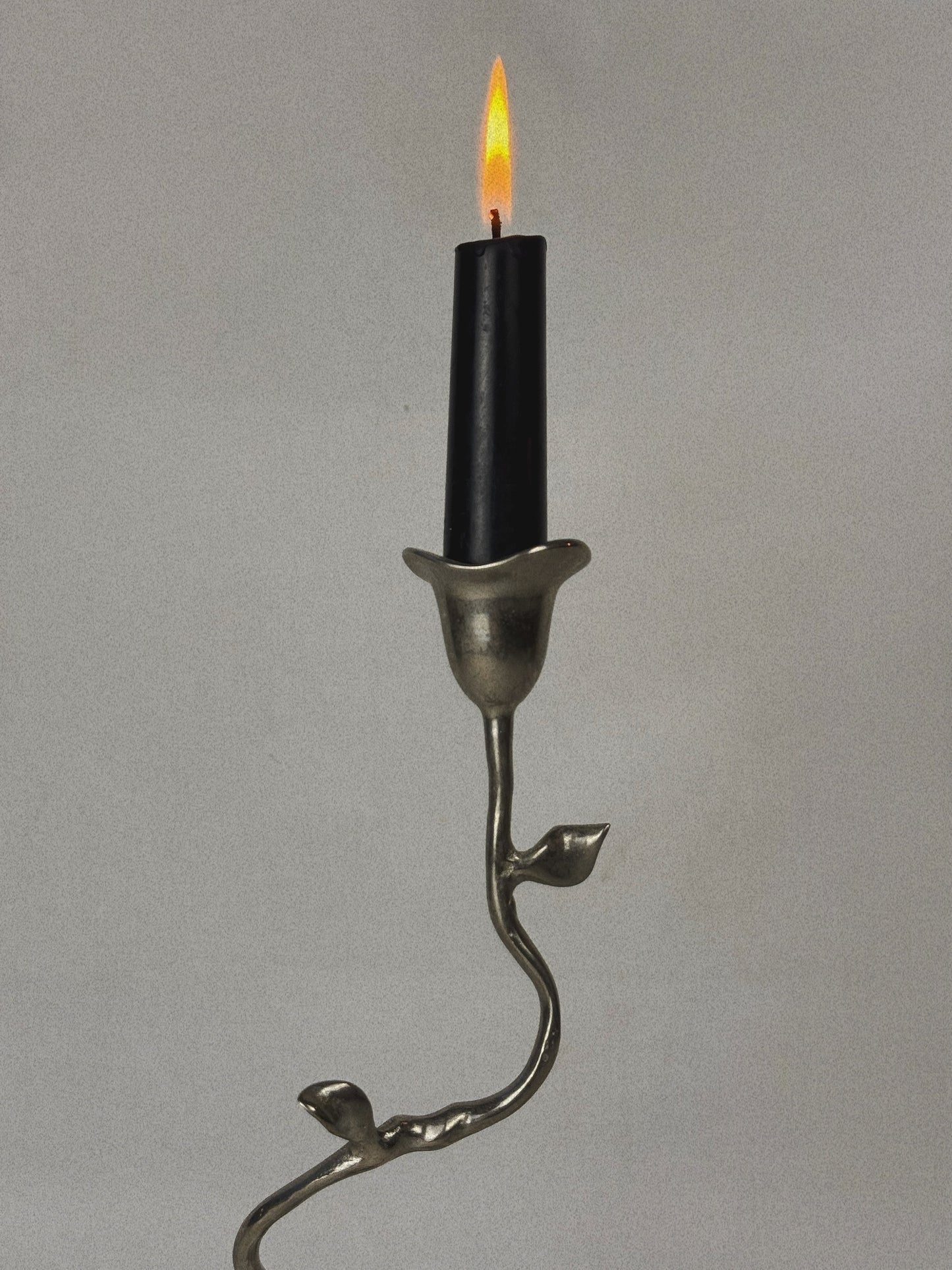 Polished Botanic Candleholders