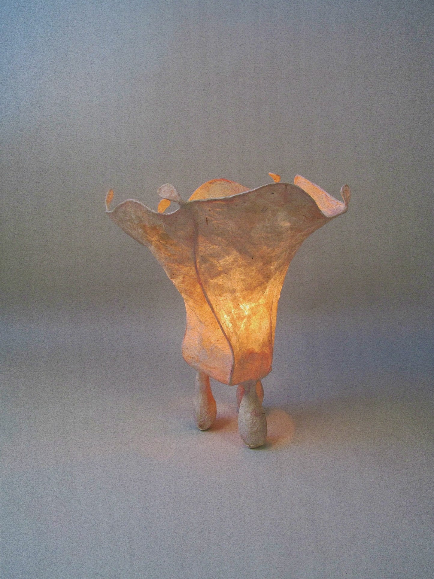 Paper Lamp